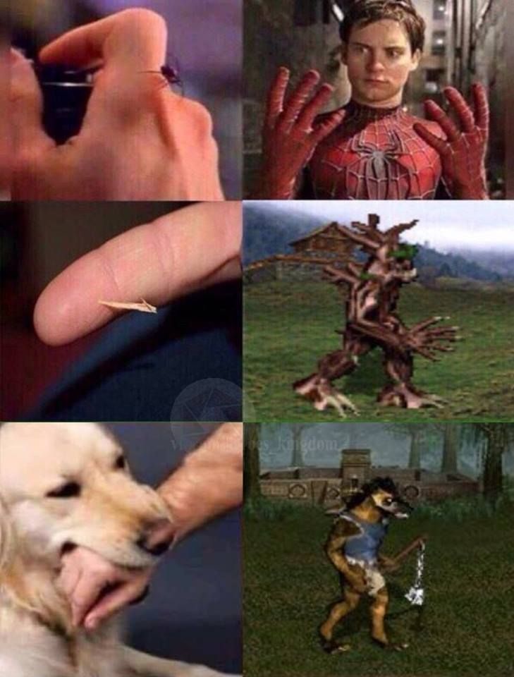 ‍