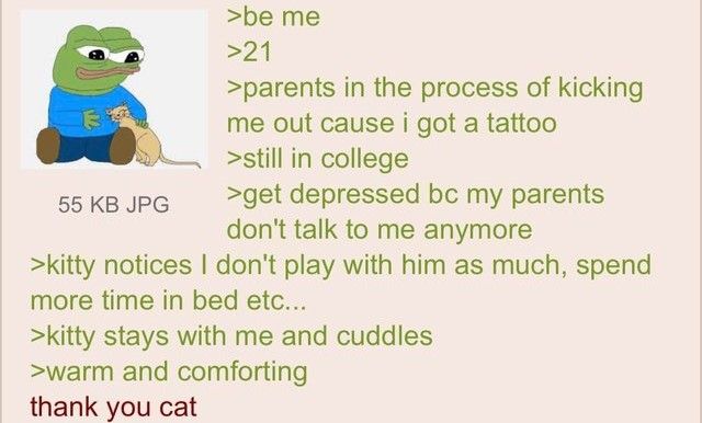 Anon and his cat