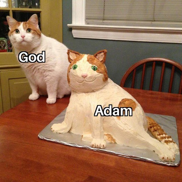 Adam