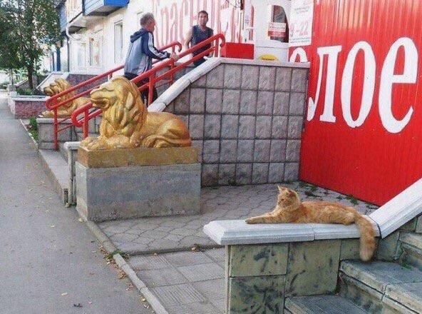 When u lie on the resume but still get the job