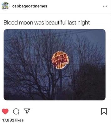 Nature is amazing