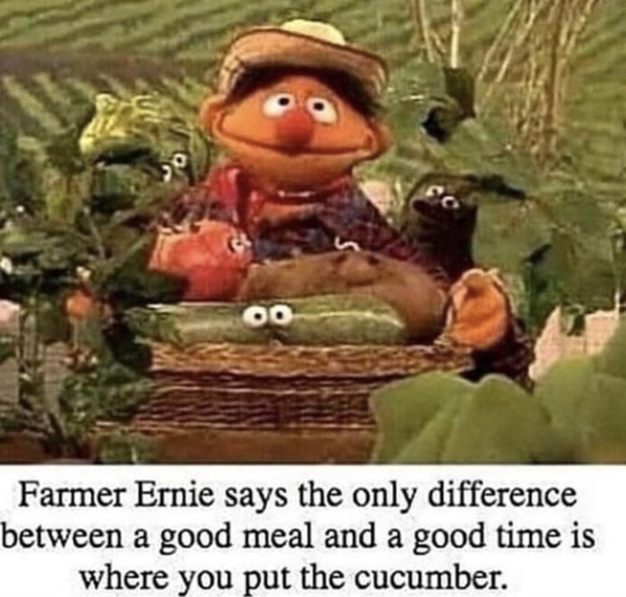 Thank you farmer Ernie, very cool