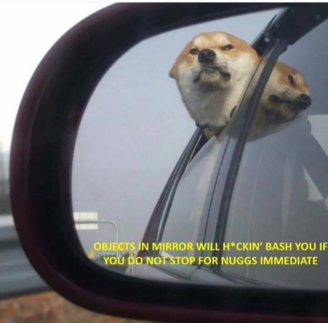 Oh man he's not hecking around