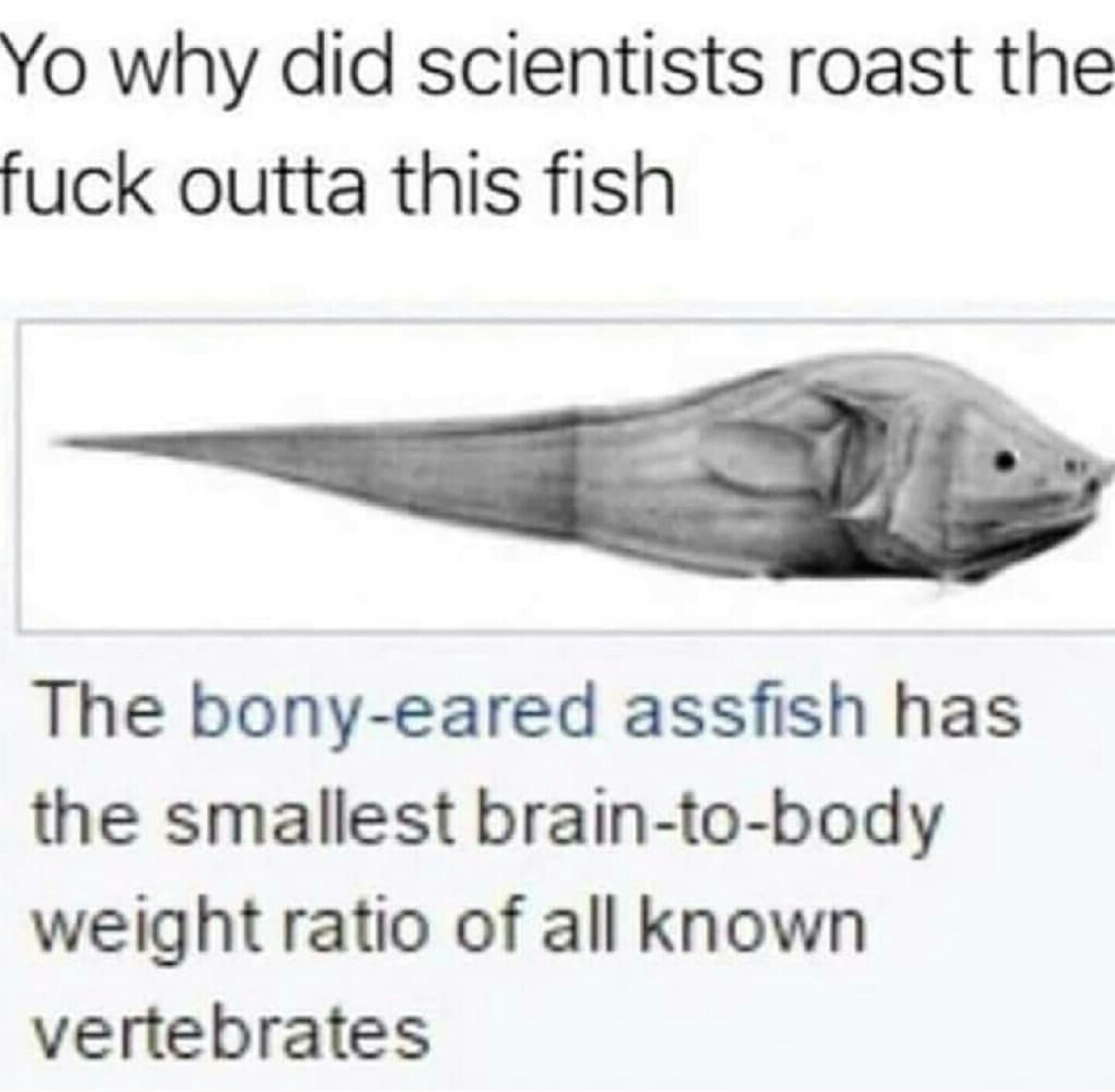 They roasted the shit outta this fish.