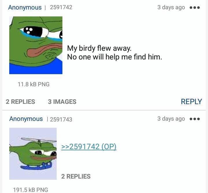 Anon sees a birb