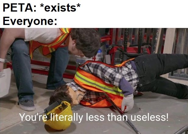 they are