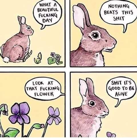 How it feels to live outside of Marxism