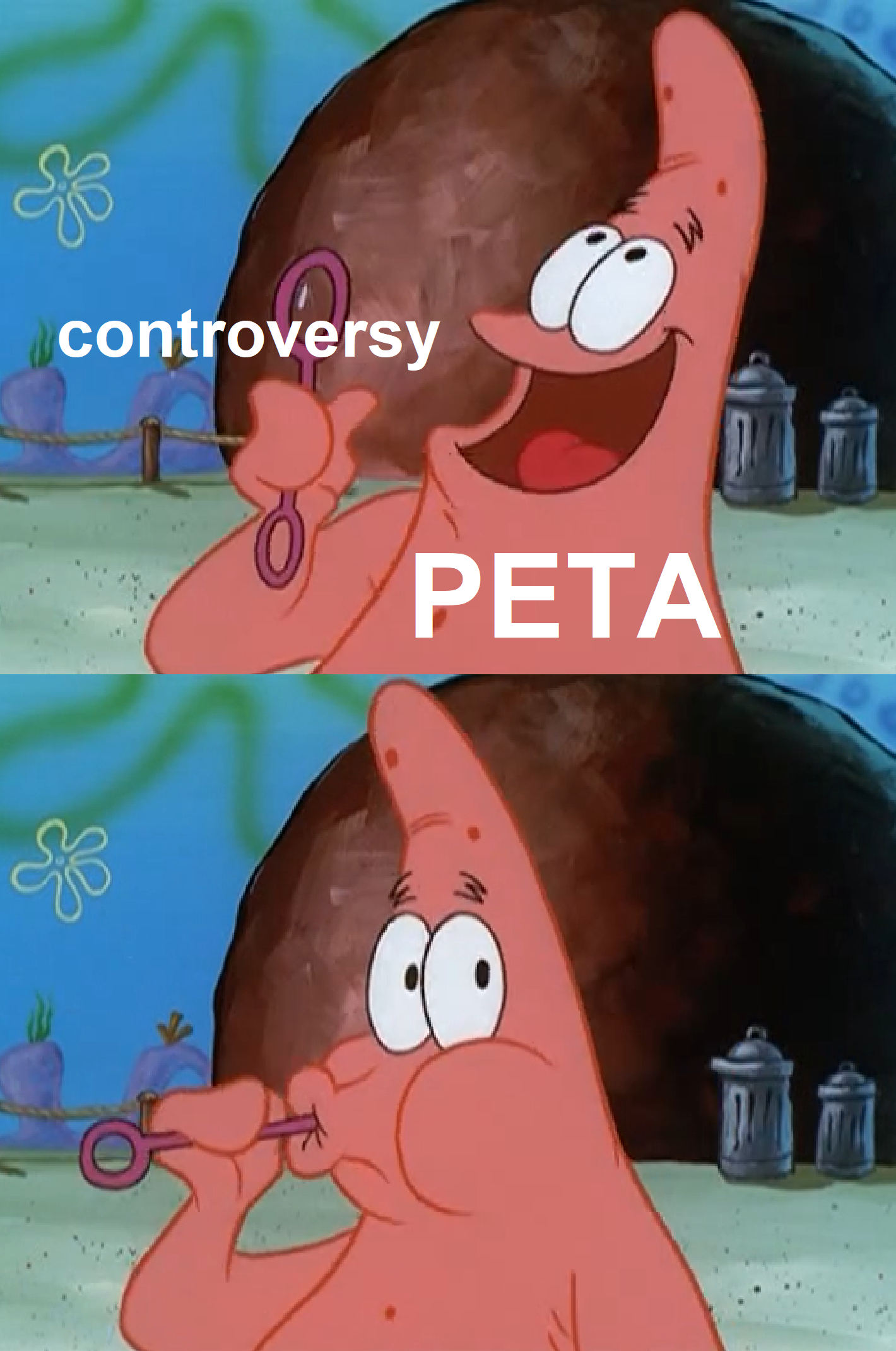 they love it