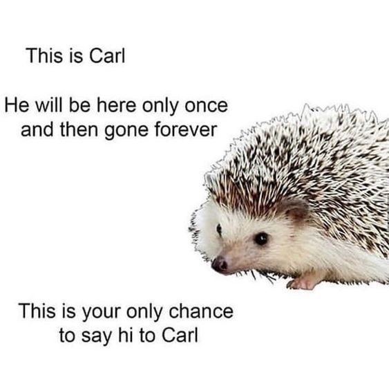 Carl is an intersecting line, we meet only once
