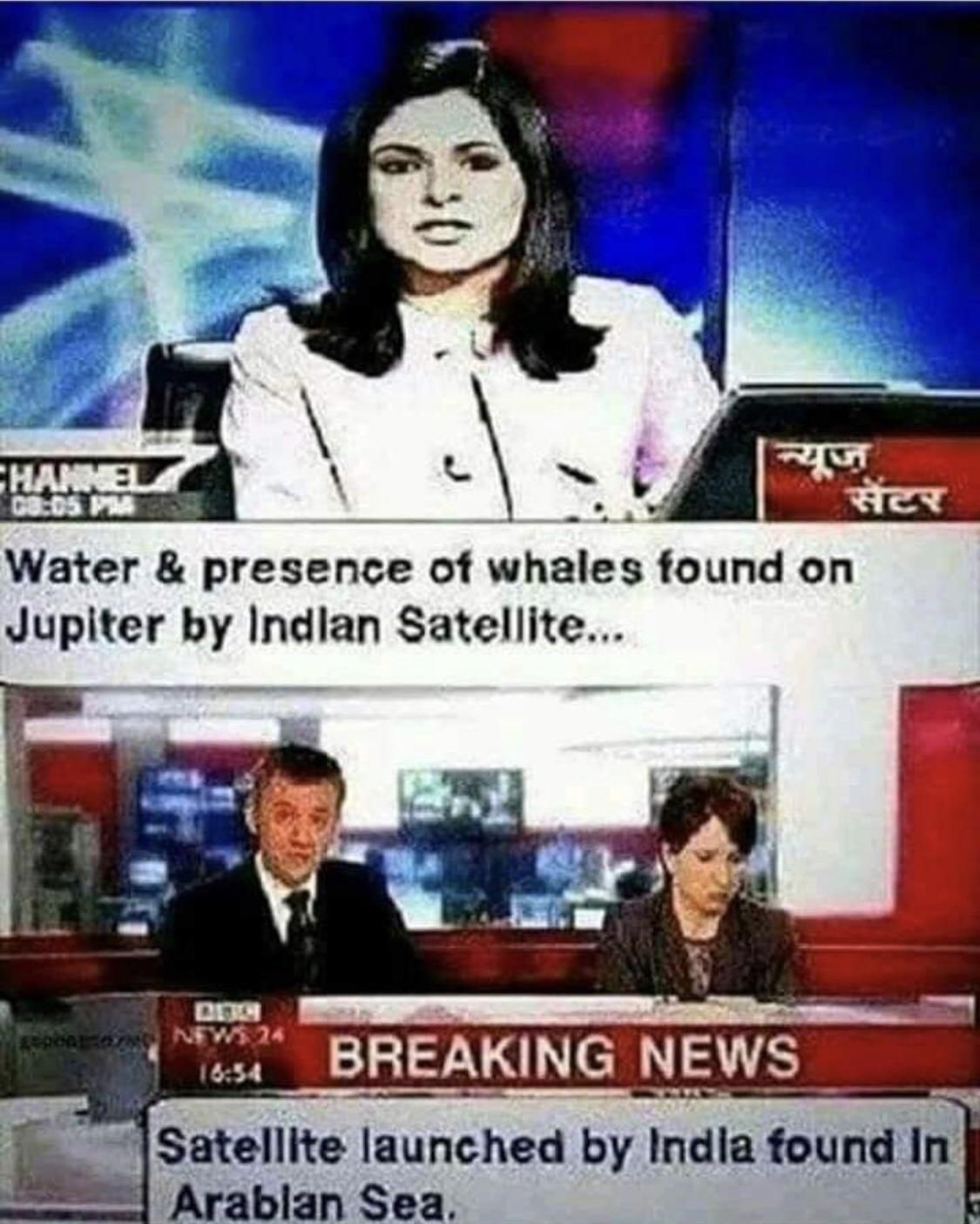 At least we know whales exist still