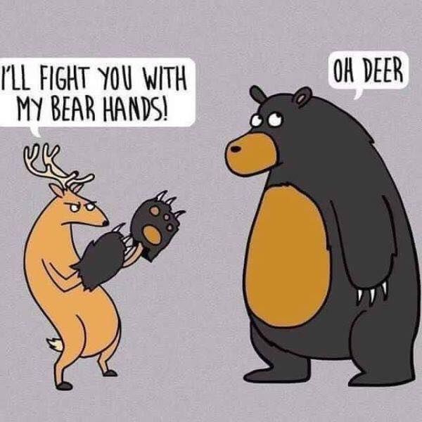 Do bears beat in the woods?