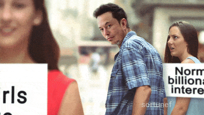 elon