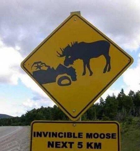 Meanwhile in Canada..