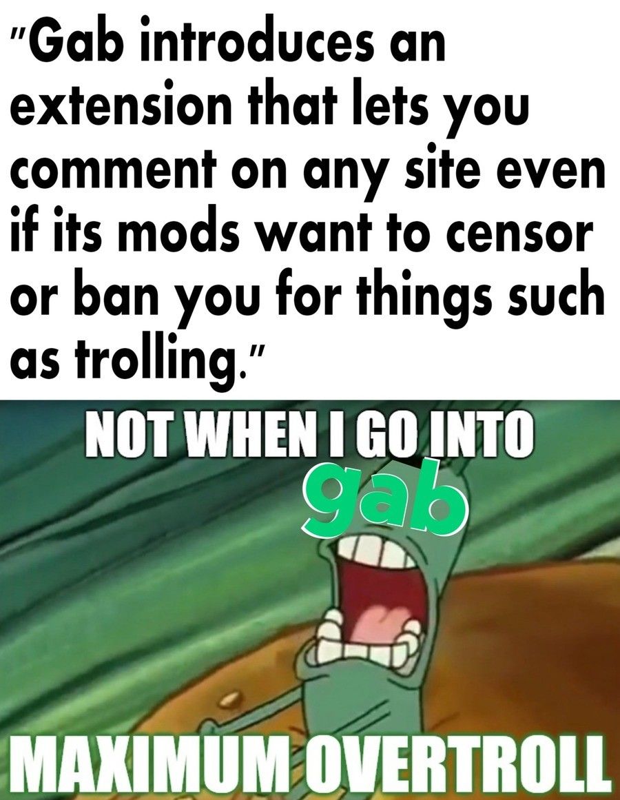 Those madlads put a comment section on the entire internet