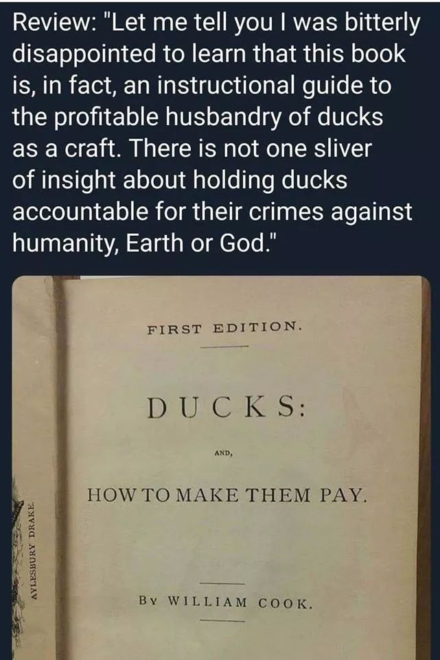 Ducks: How To Make Them Pay