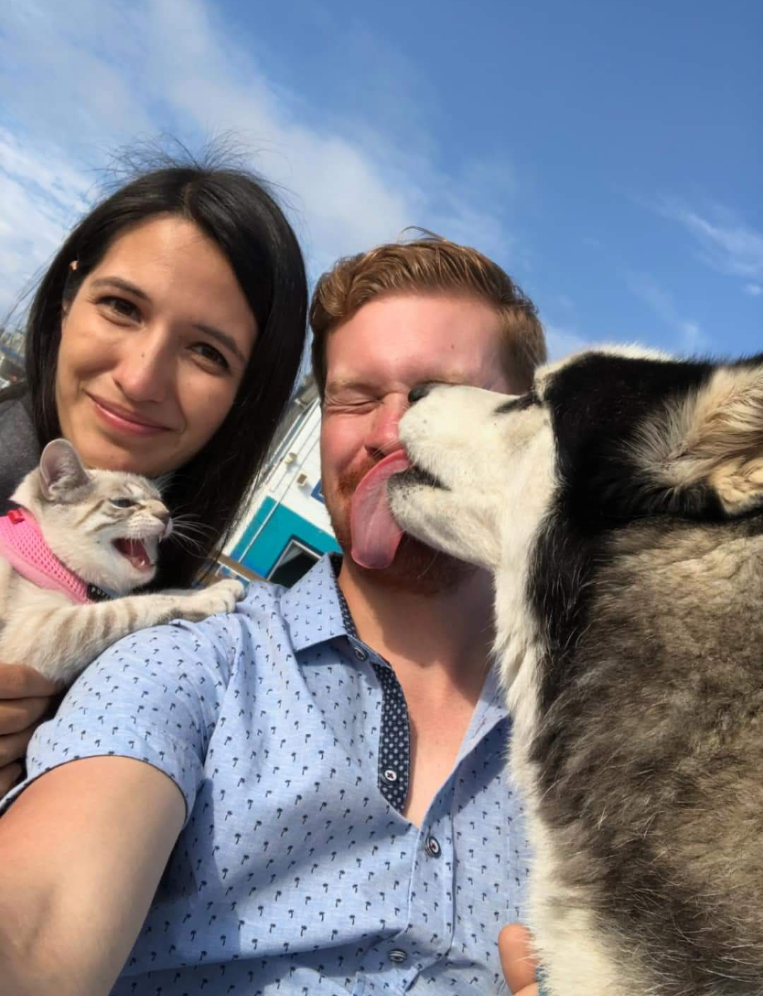 Just a typical family photo with our furbabies...
