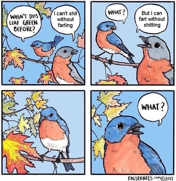 The bird has a point