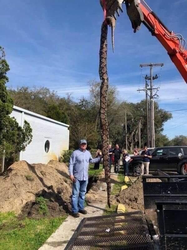 a Florida Plumber Finally Found The Clog