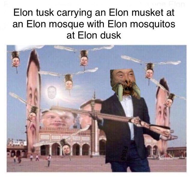 I Elon must post more of these