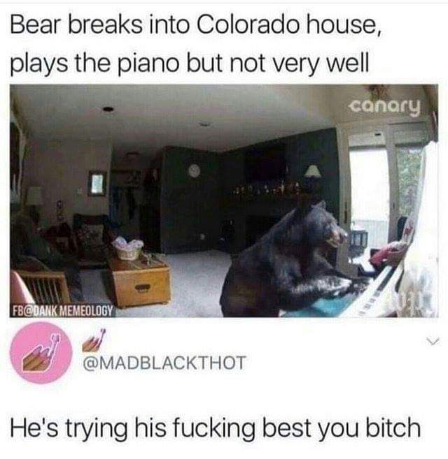 leace the bear alone!!