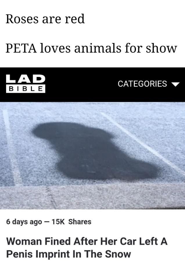 this world is beyond repair