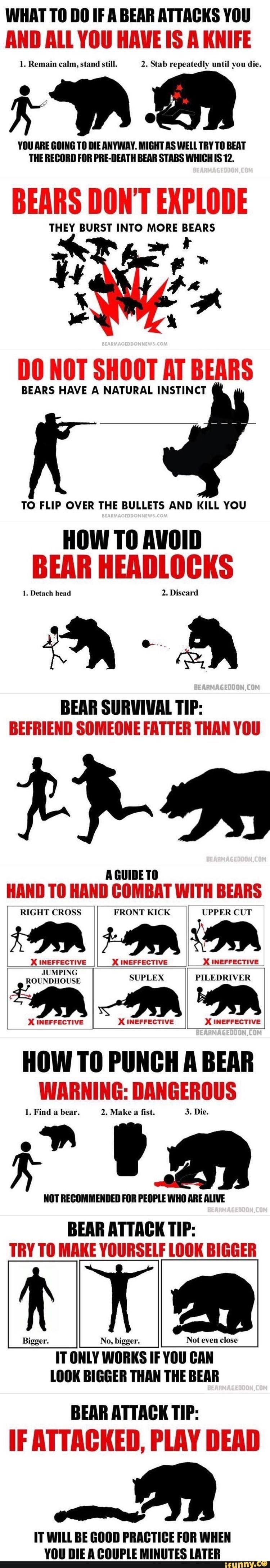How to survive a bear attack...