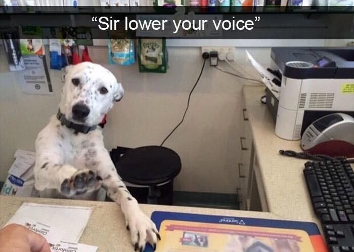 I’d like to speak to your human