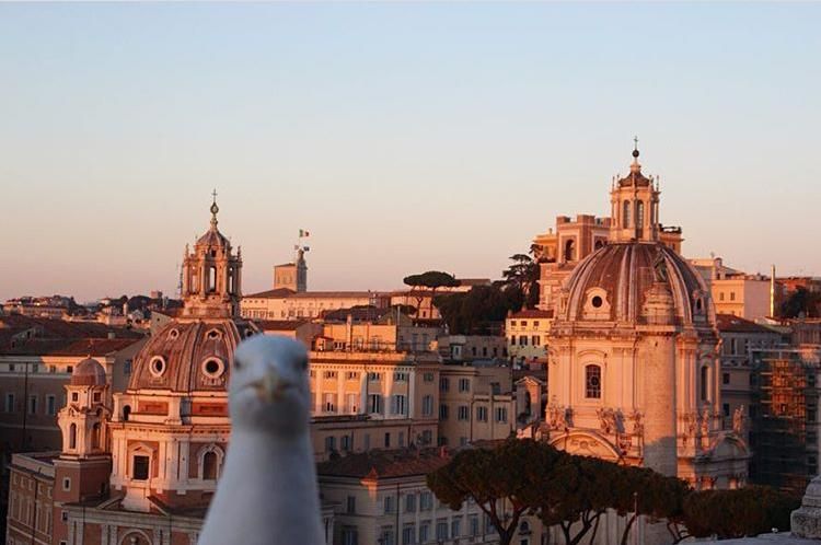 A Roman seagull photobombed my sister