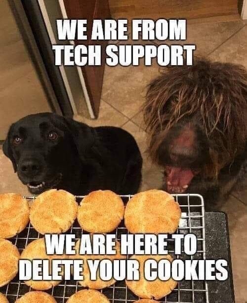 Tech support team
