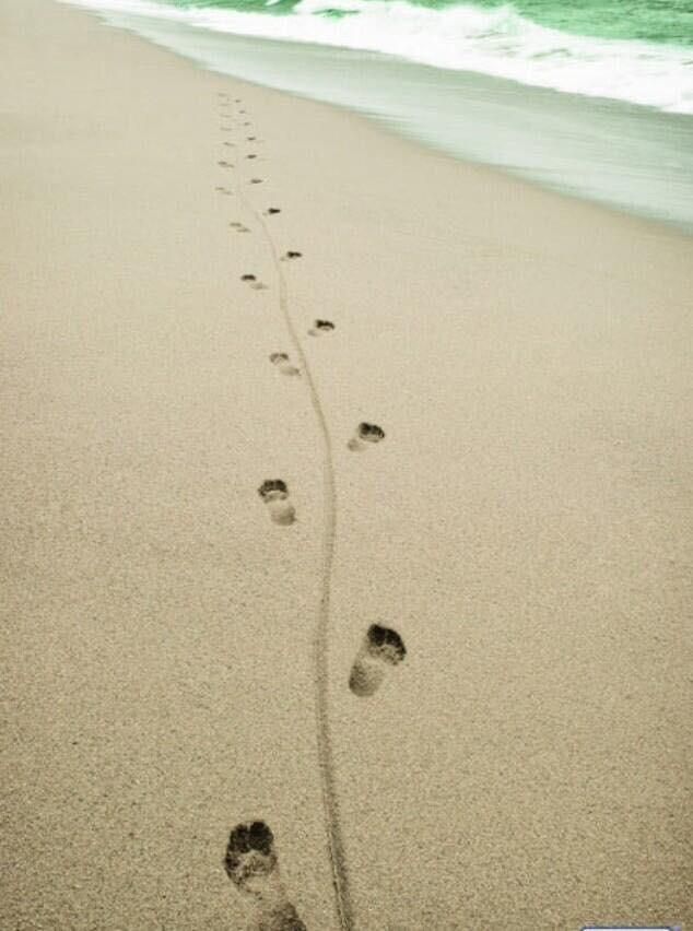 Naked beach walk.