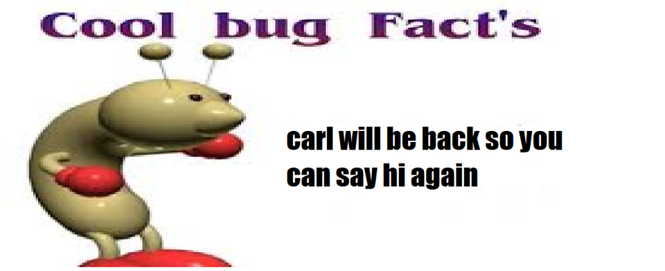 it needs more than 1 bullet to defeat our boi Carl