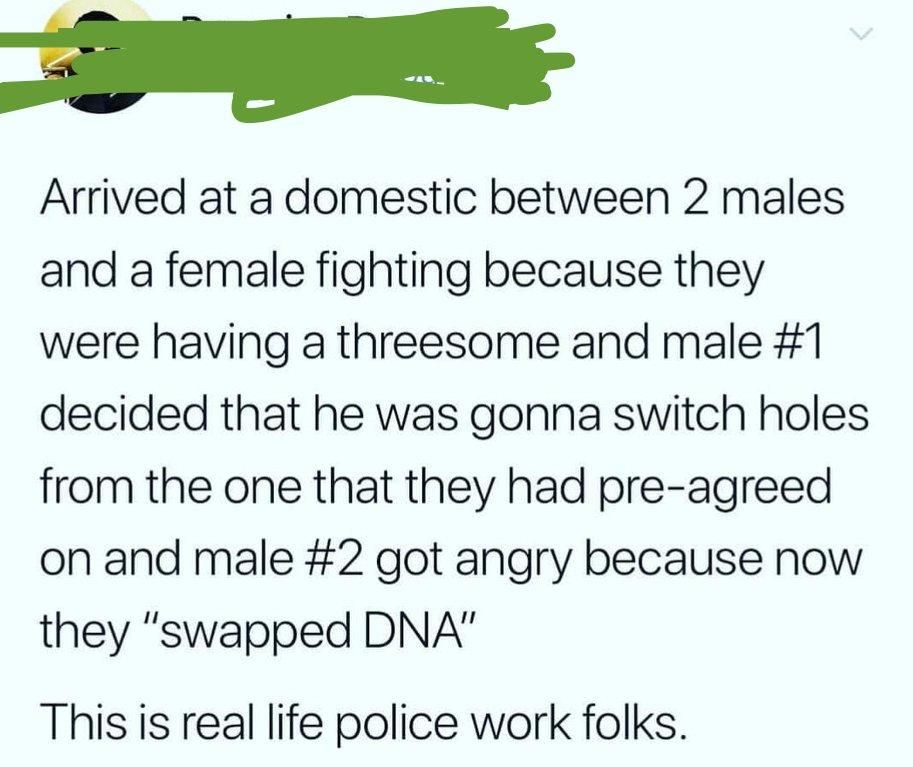 Domestic dispute
