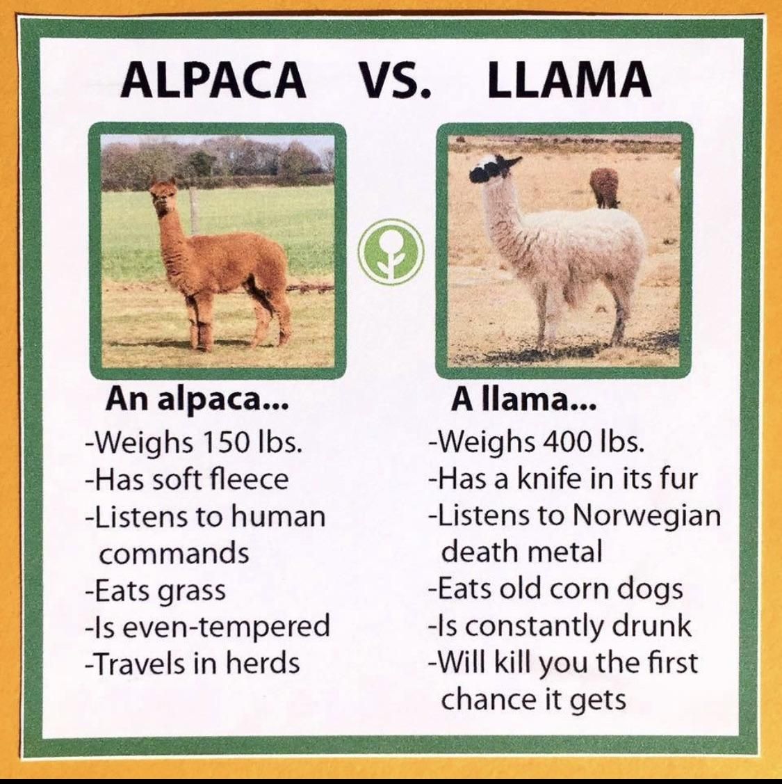 Alpaca vs Llama