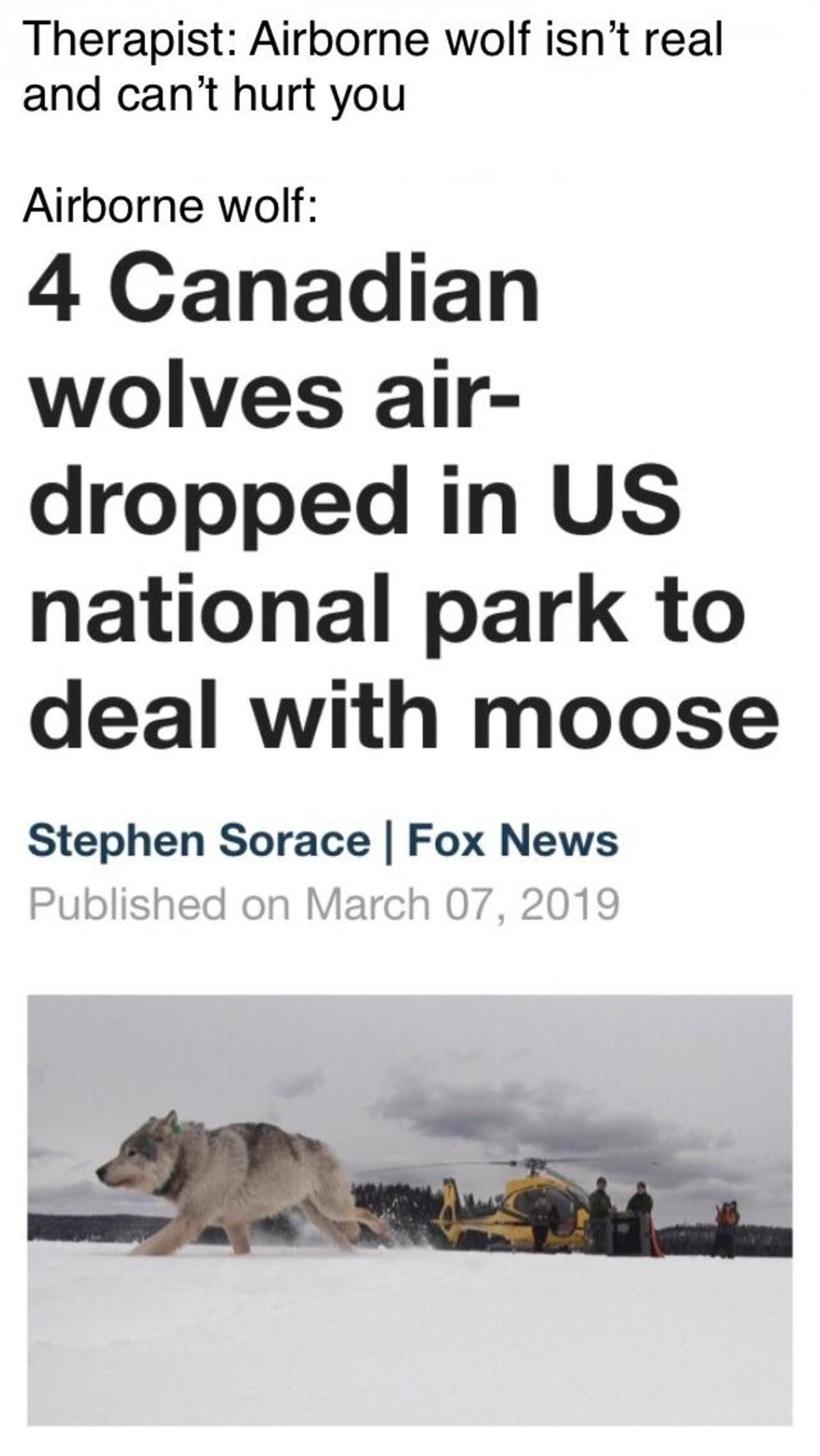 Well how else were they going to deal with it, Moose are badass