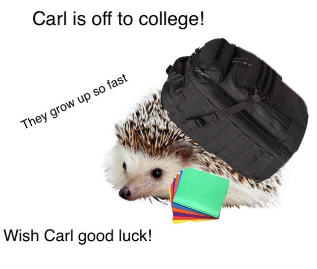 make us proud Carl