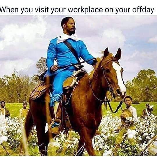 Freedom