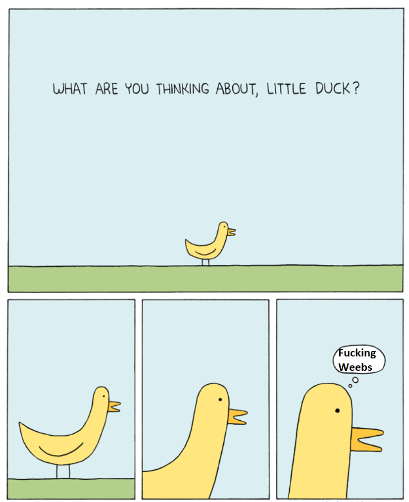 Ducks are truly magnificent creatures