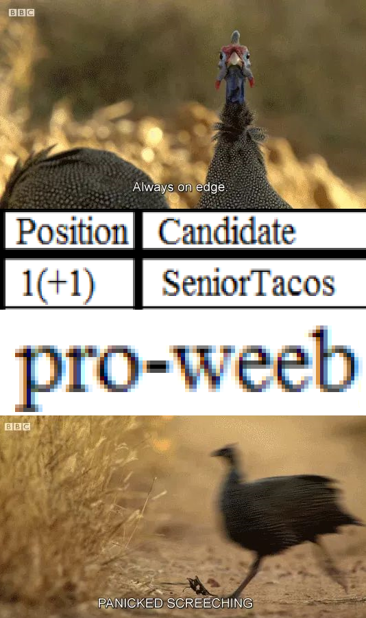 I'm late to the post election party but still, REEEEE