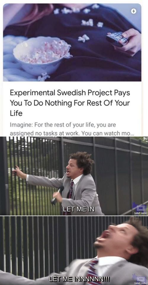 ‍
