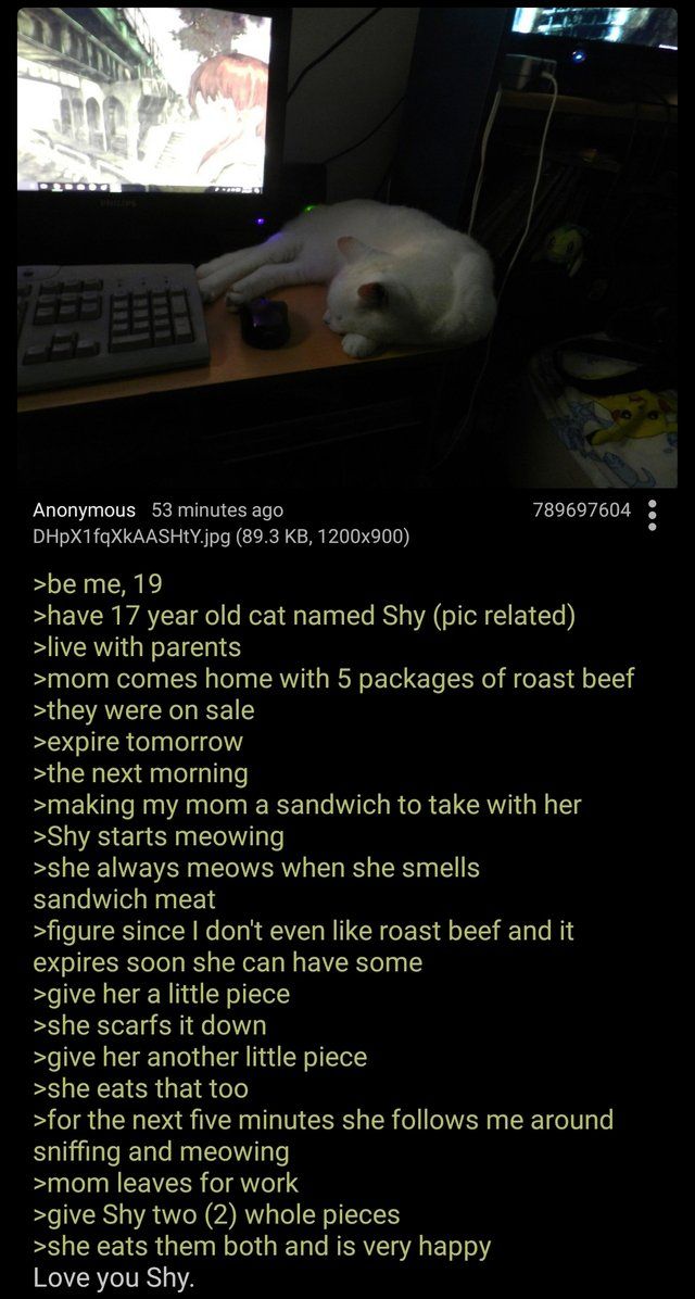 Anon and shy