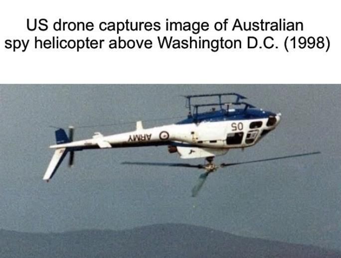 Those dingos are down to something