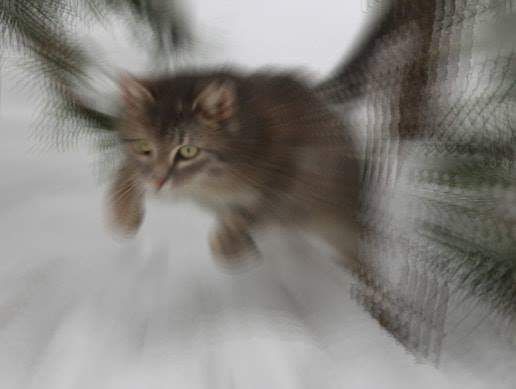 You can radially blur literally anything and it'll be funny