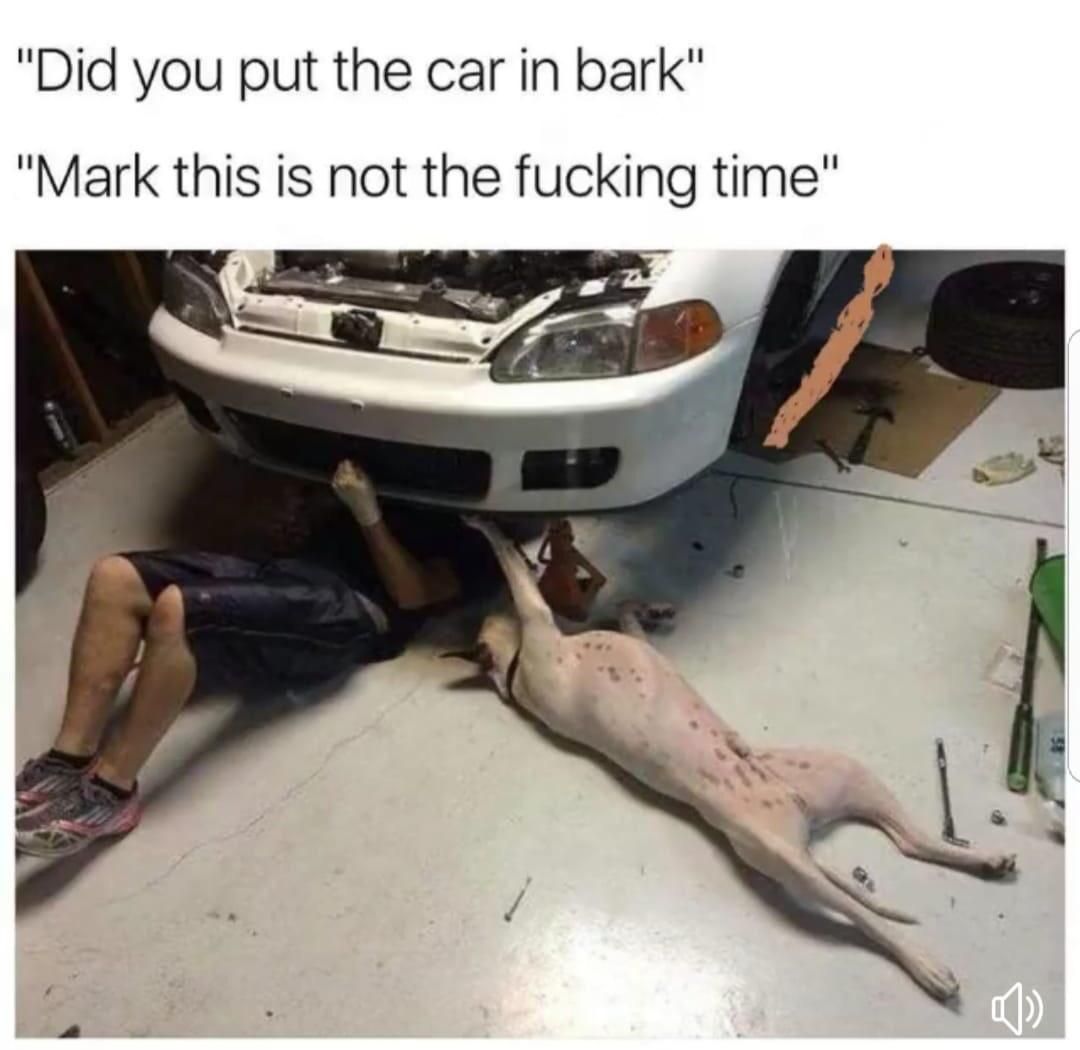 Really Mark?