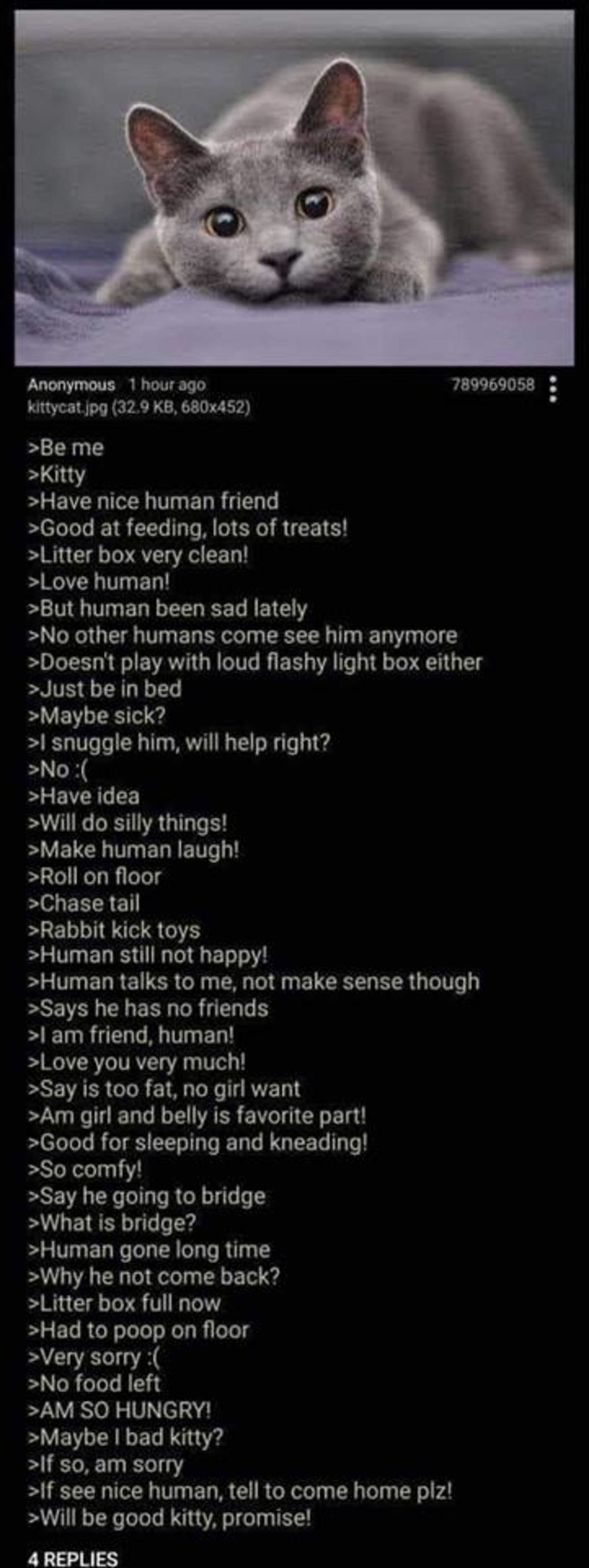 Have you seen her human?