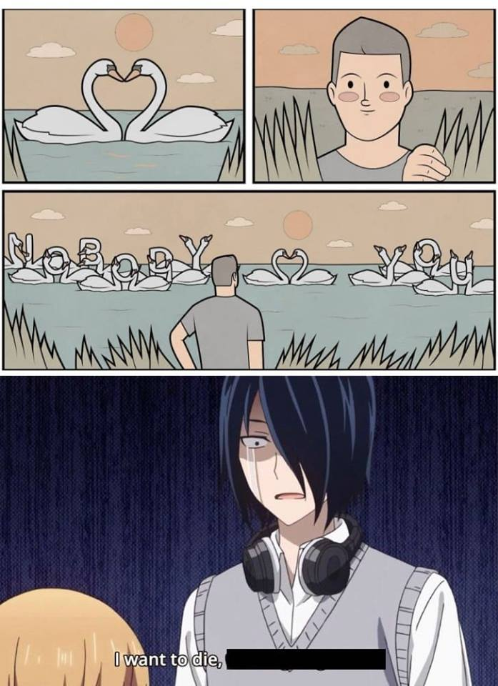 Ducks are better than Swans