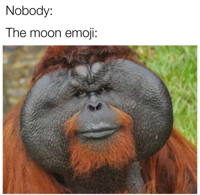 moon