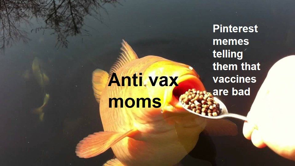 a reliable news source