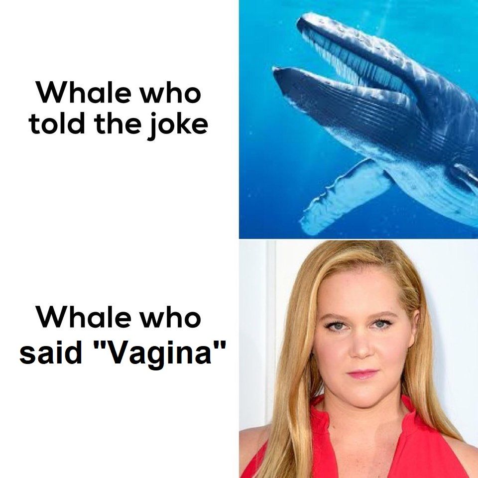 not even japanese would eat this whale