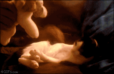 Aww so cute