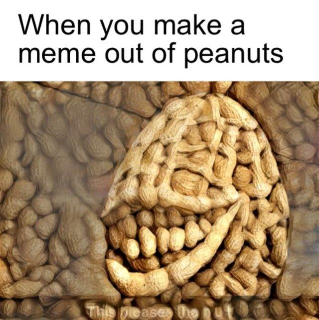 thats nuts